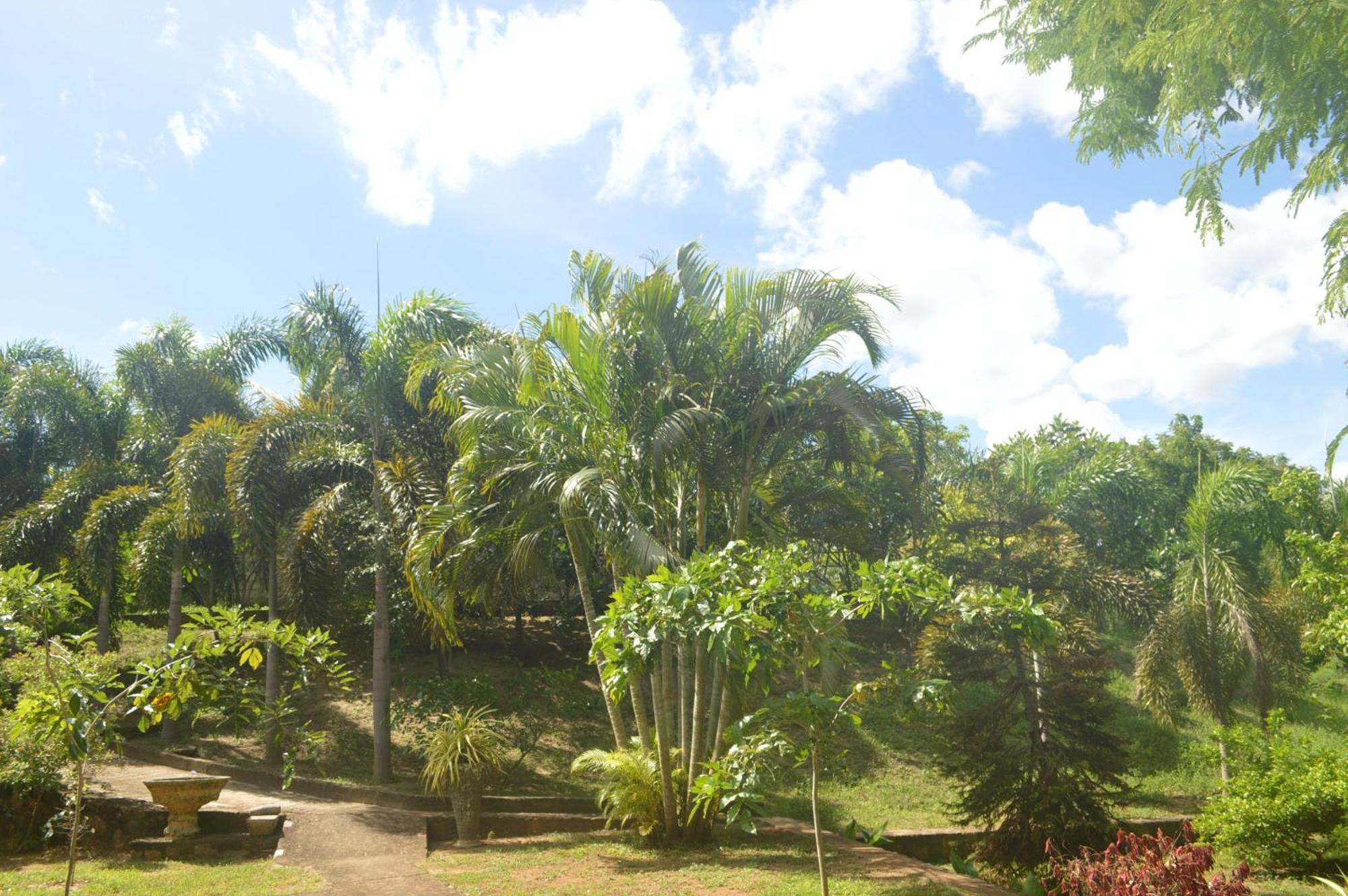 Amazon Cabanas Tissamaharama Exterior photo