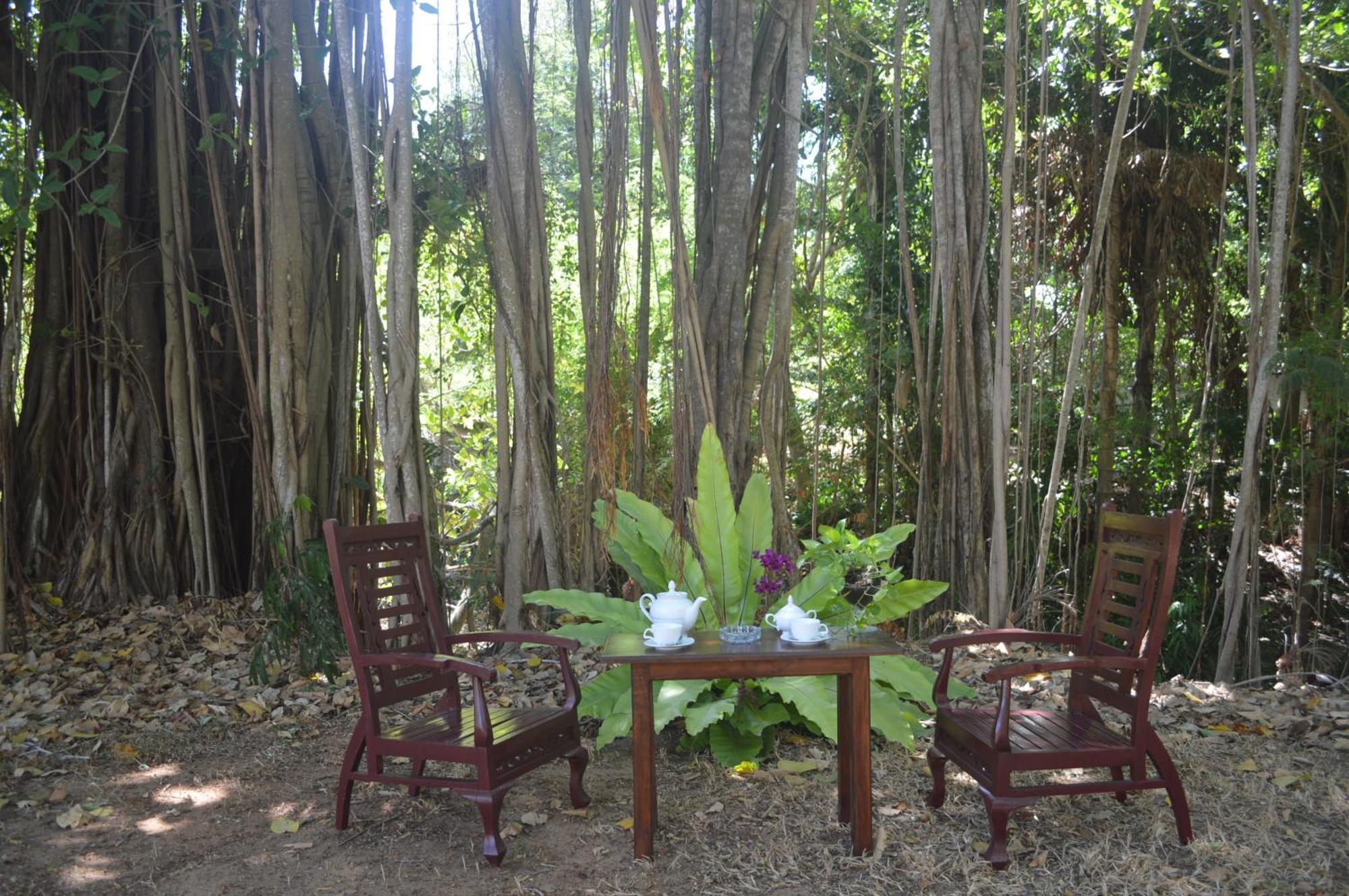 Amazon Cabanas Tissamaharama Exterior photo