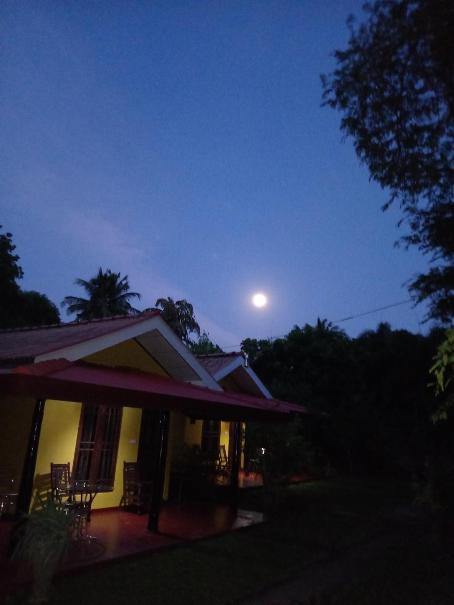 Amazon Cabanas Tissamaharama Exterior photo