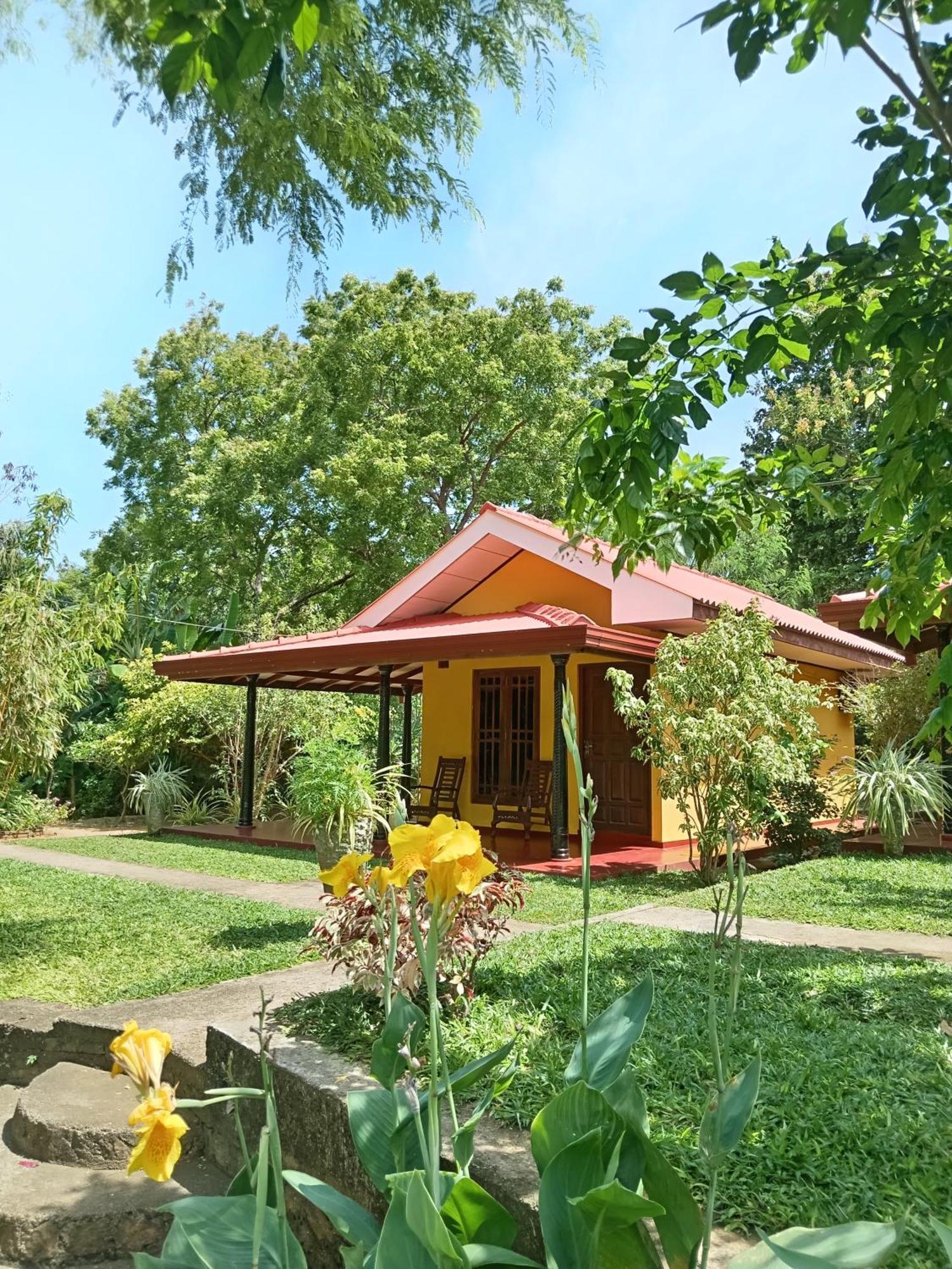 Amazon Cabanas Tissamaharama Exterior photo