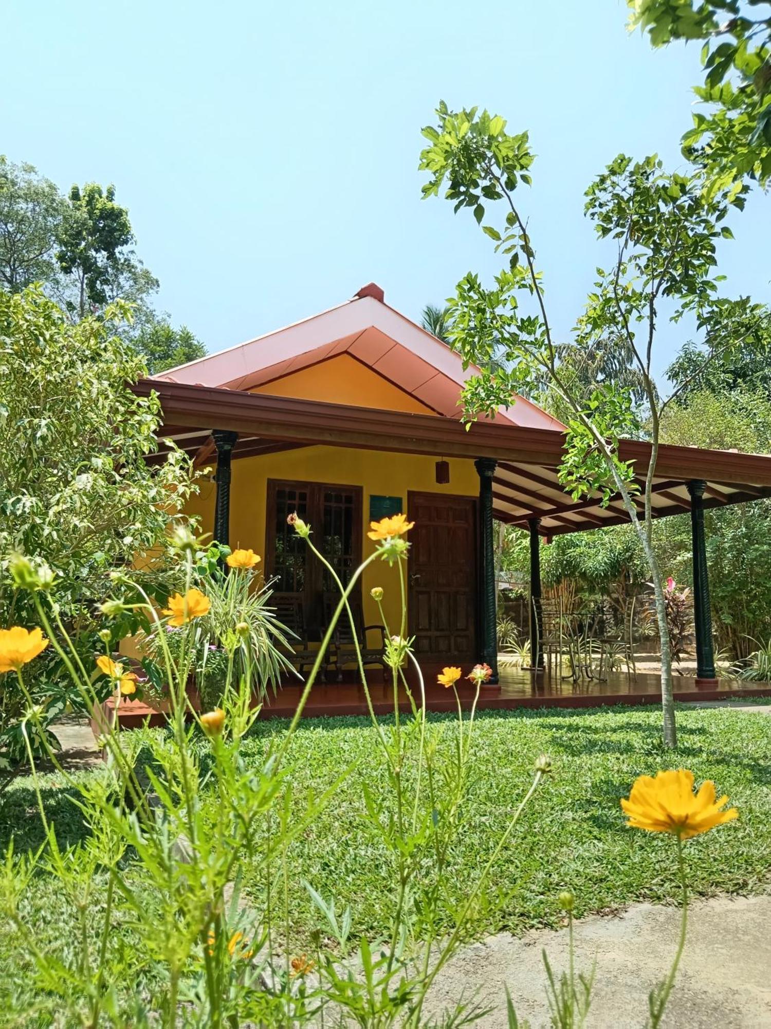 Amazon Cabanas Tissamaharama Exterior photo